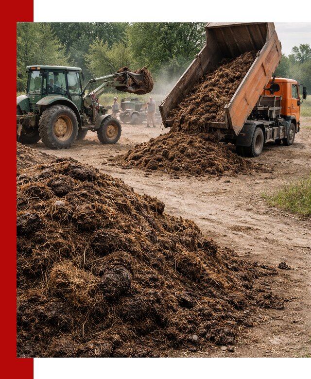 Доставка навоза самосвалами в Заволжье для сельхозпотребностей