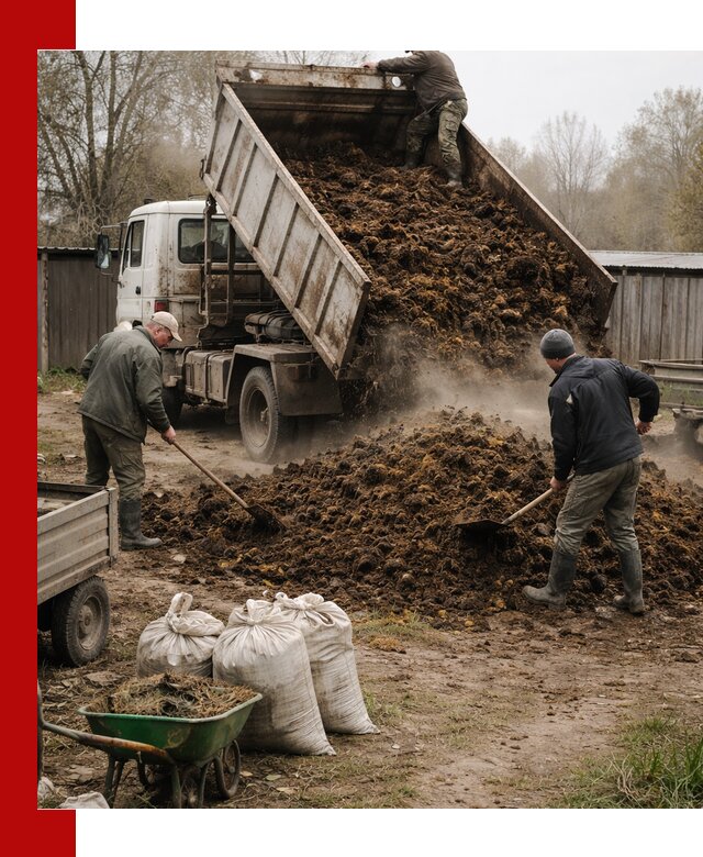 Доставка коровьего навоза самосвалом в Заволжье